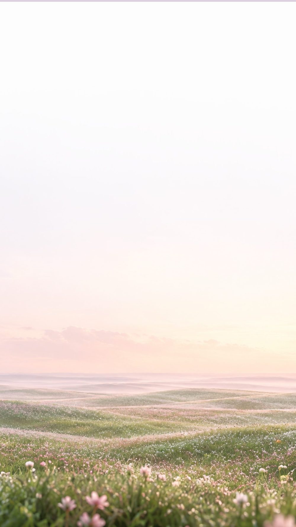Campo de flores ao amanhecer